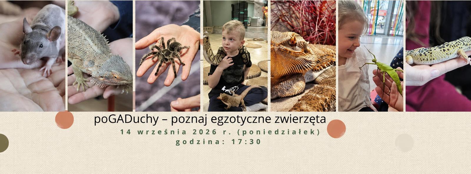 poGADuchy – egzotyczne zwierzęta w Przystani Aloha w Grodzisku Mazowieckim